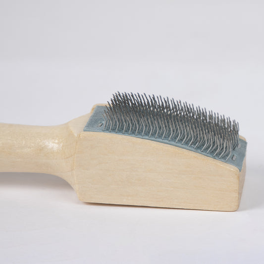 BD Dance Shoe Brush