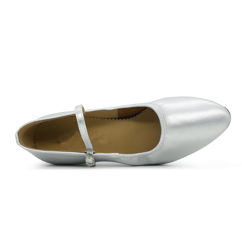 BD Dance Women's Ballroom Dance Shoes Latin Jazz Wlatz Dancing Sandals Practice Mary Jane Style Low Heel Silver #107 4.5-11