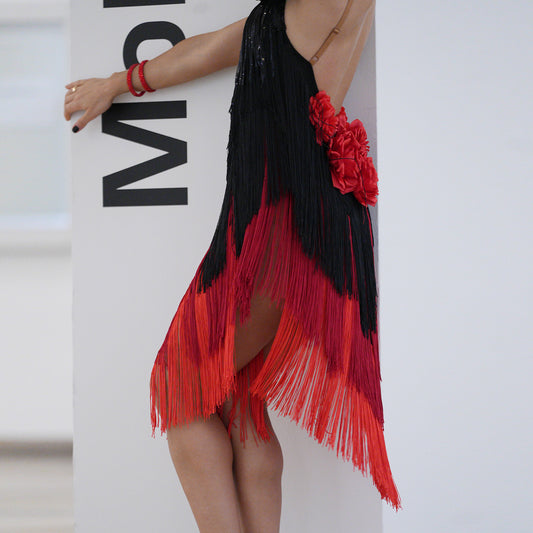 UD 2025 New in Women's Dress Sleeveless Latin Dance Stage Performance Costume Spaghetti Strap Fringe Dress for Women A61